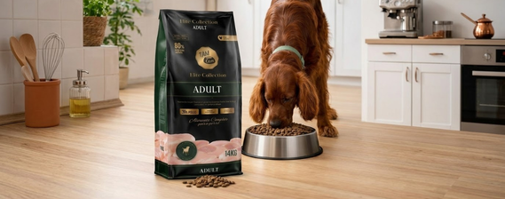 Gato alimentándose con TamCan Petfood